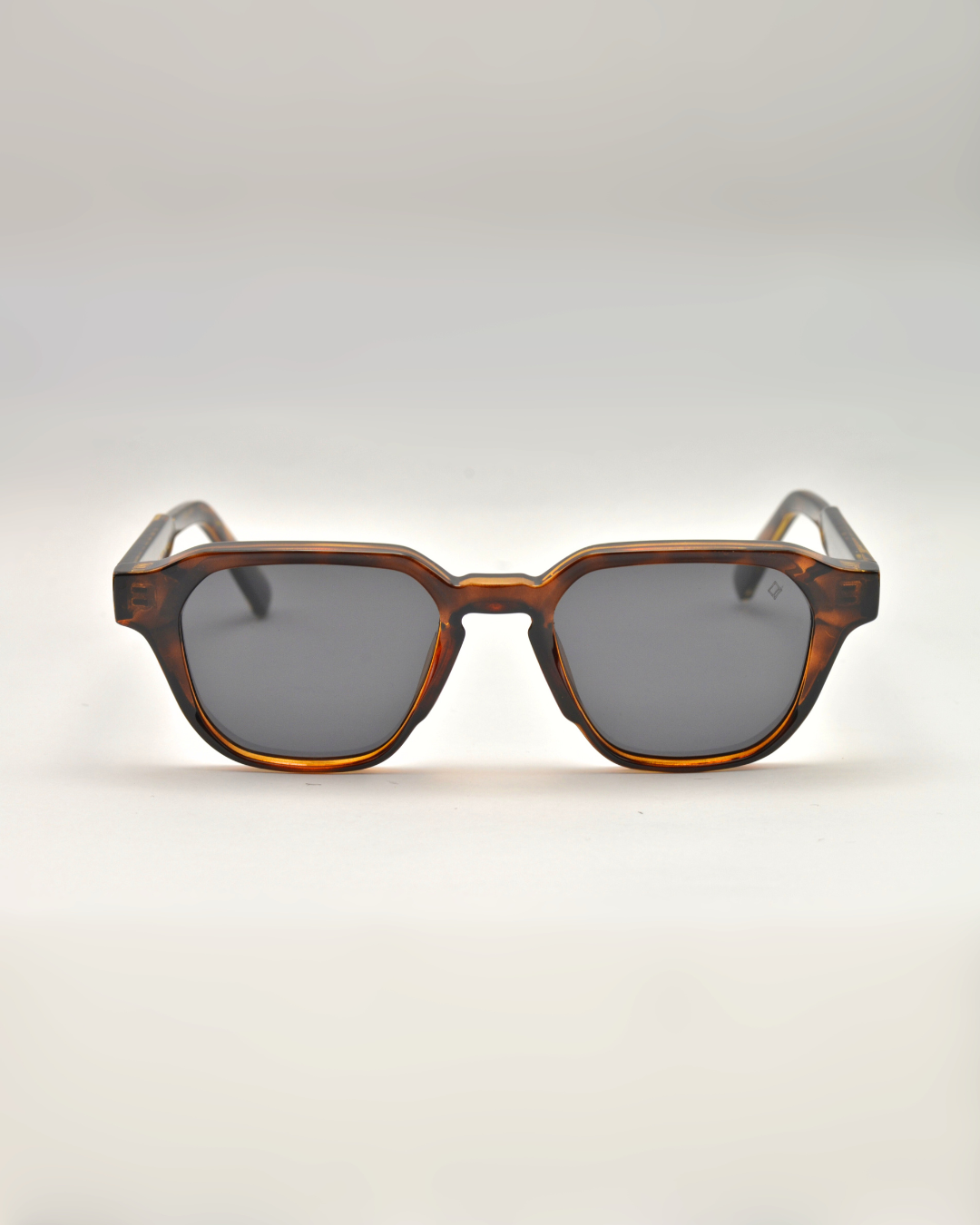 Andorinha | Tortoise