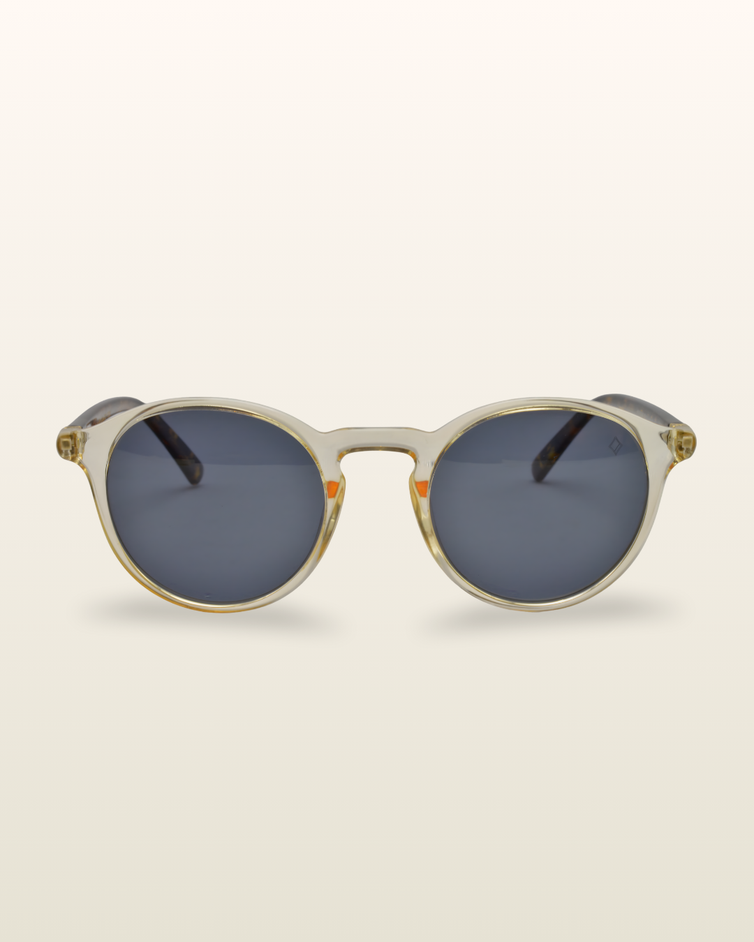 Gaivota | Tortoise