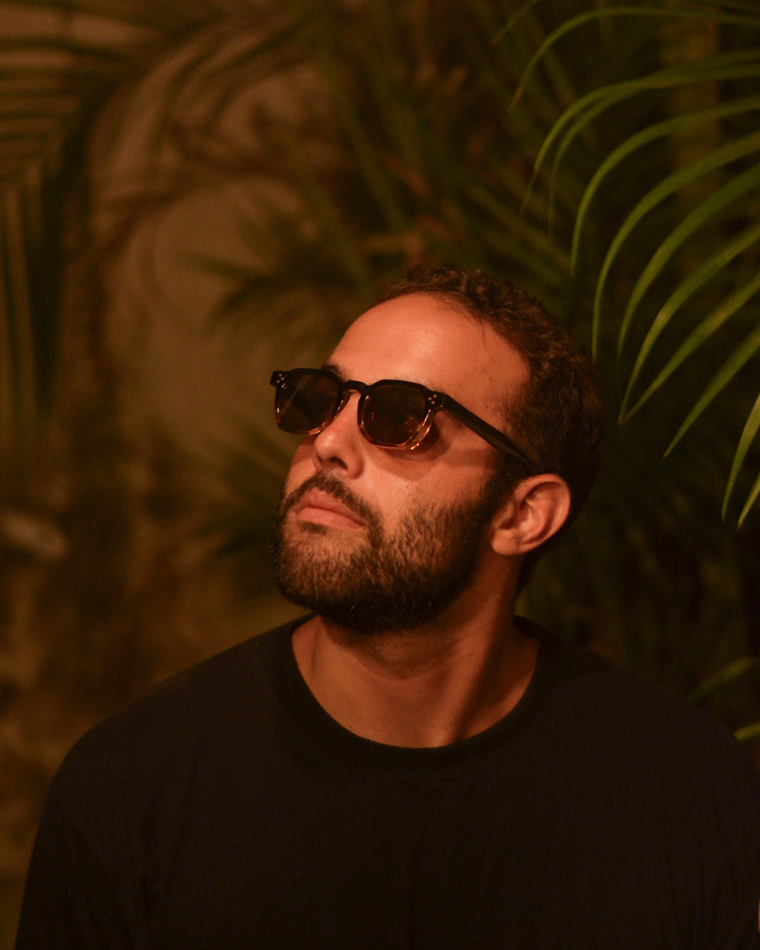 PIPA® Duna