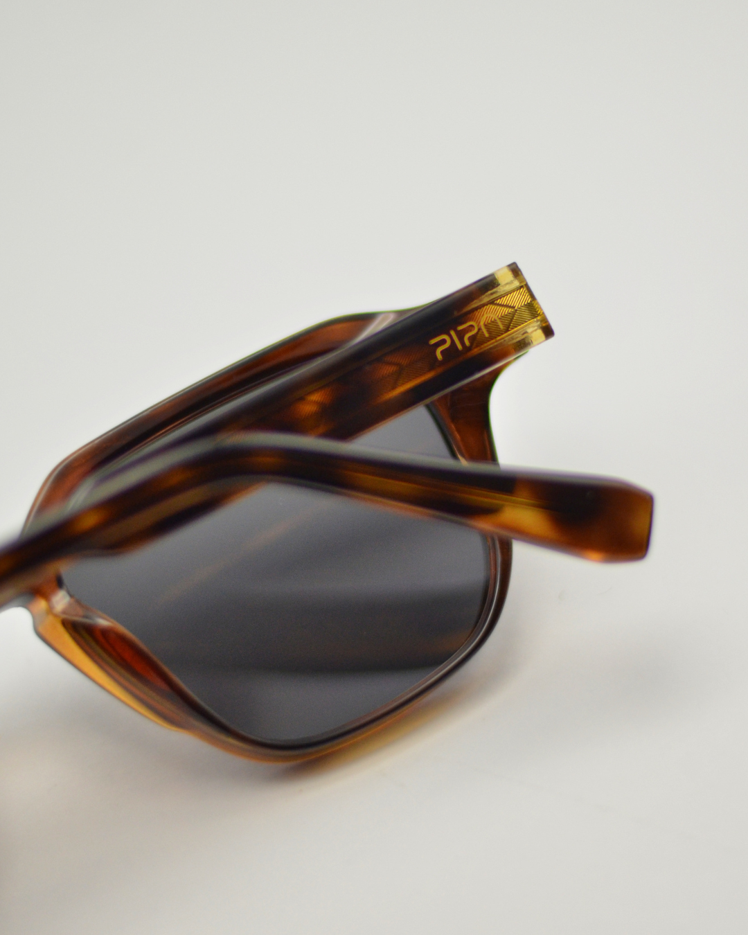 Andorinha | Tortoise