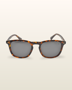 Pardal | Tortoise