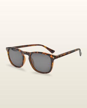 Pardal | Tortoise