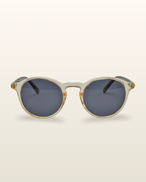 Gaivota | Tortoise