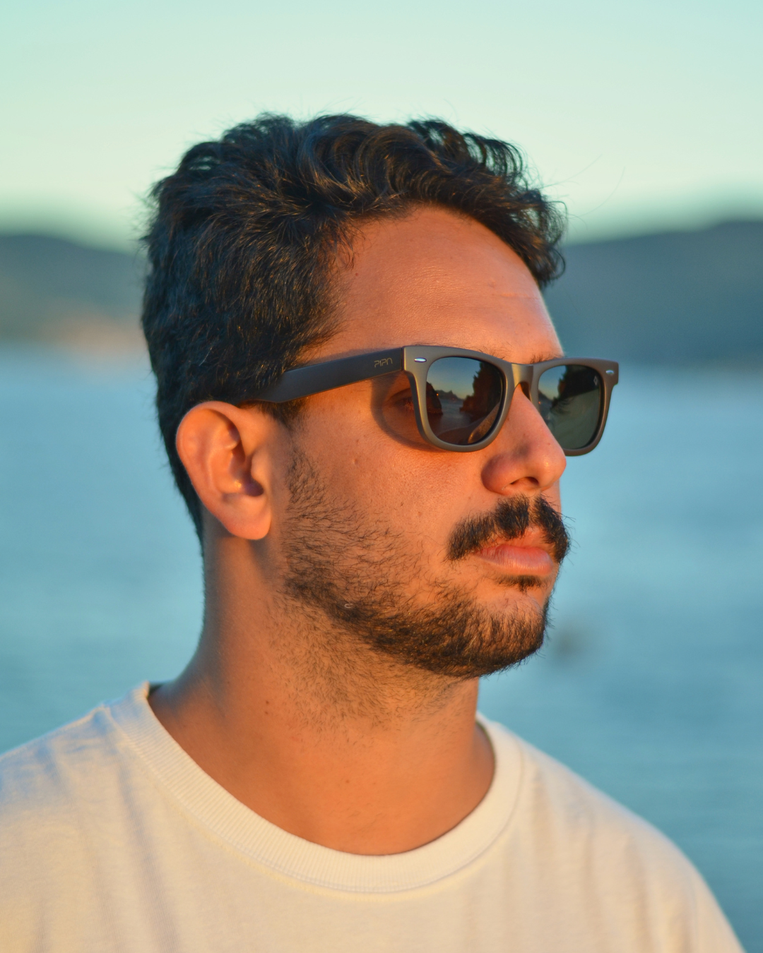 Guará | Marrom