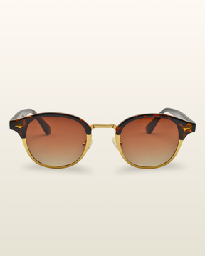 Mutum | Tortoise