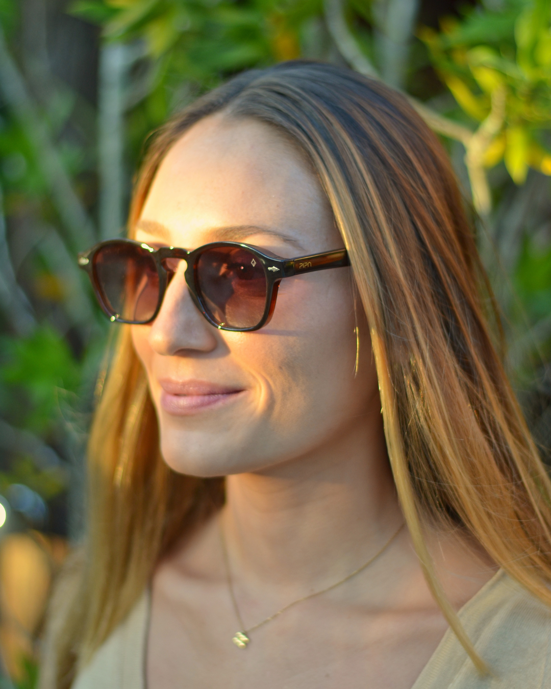 Maritaca | Marrom