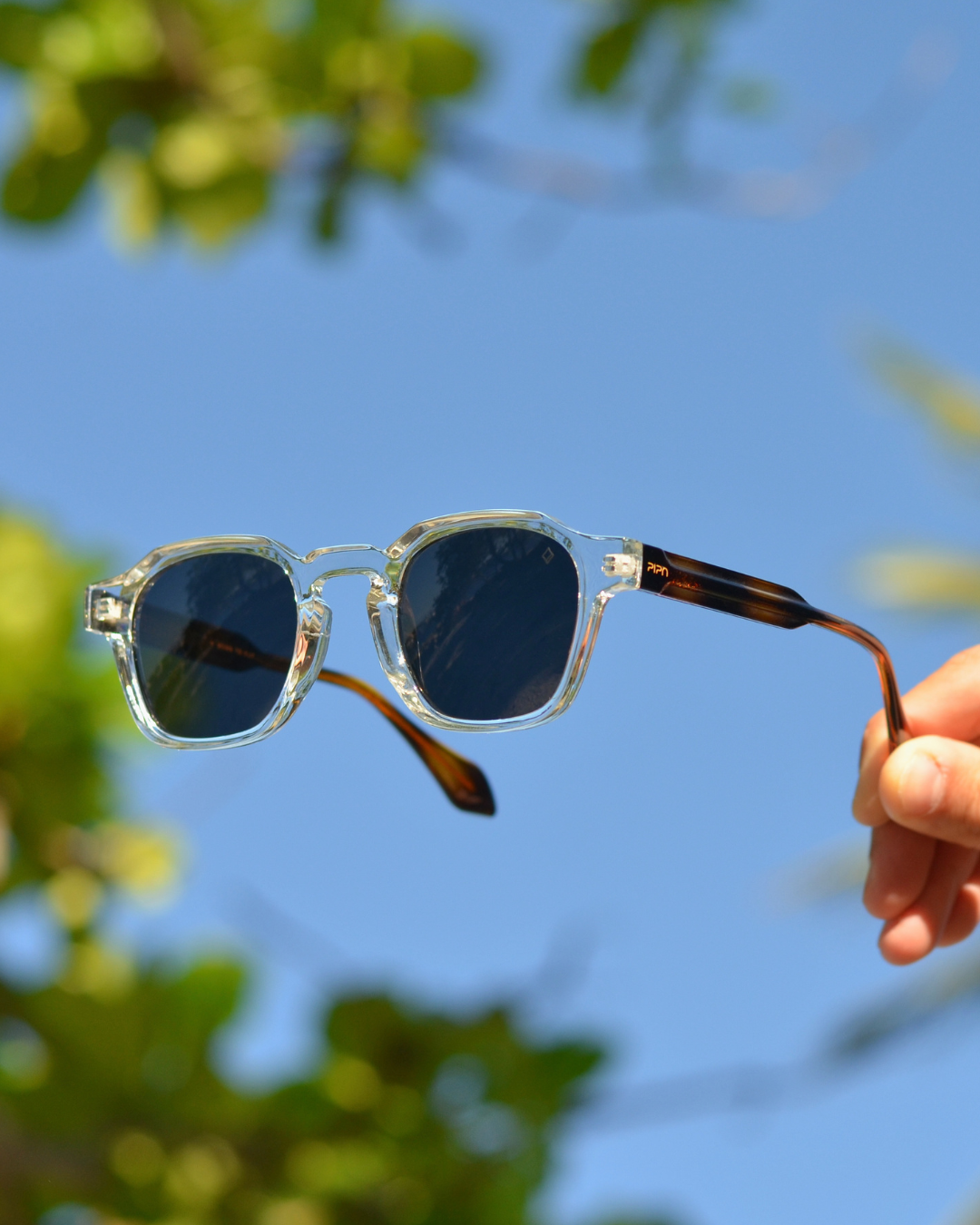 Canário | Transparente