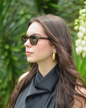 Andorinha | Tortoise