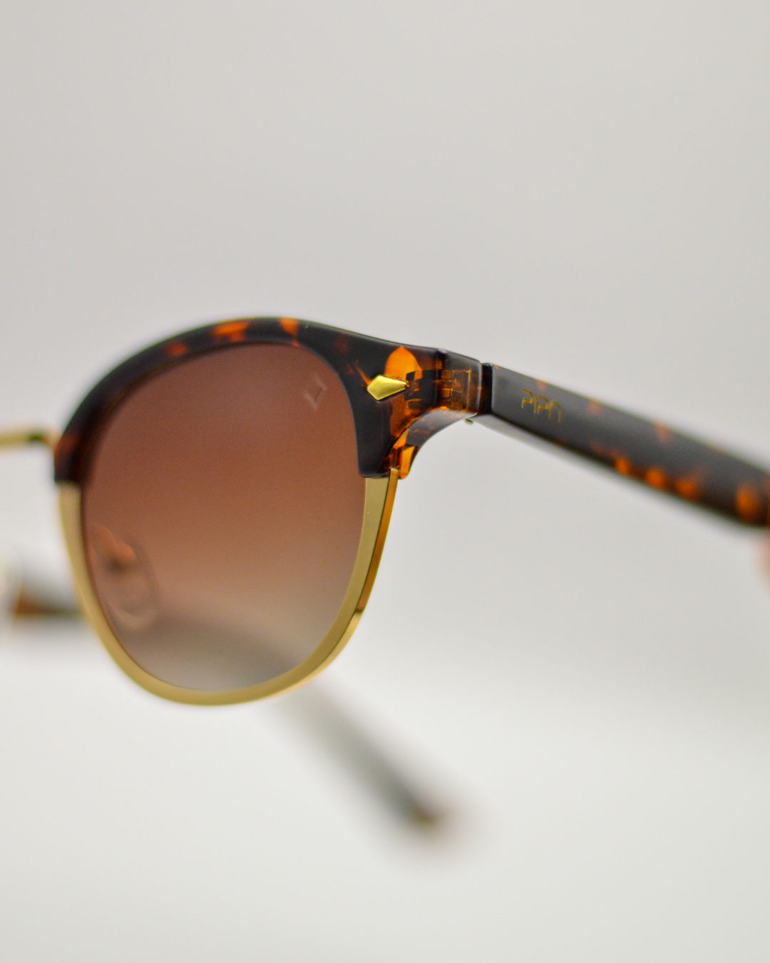 Mutum | Tortoise
