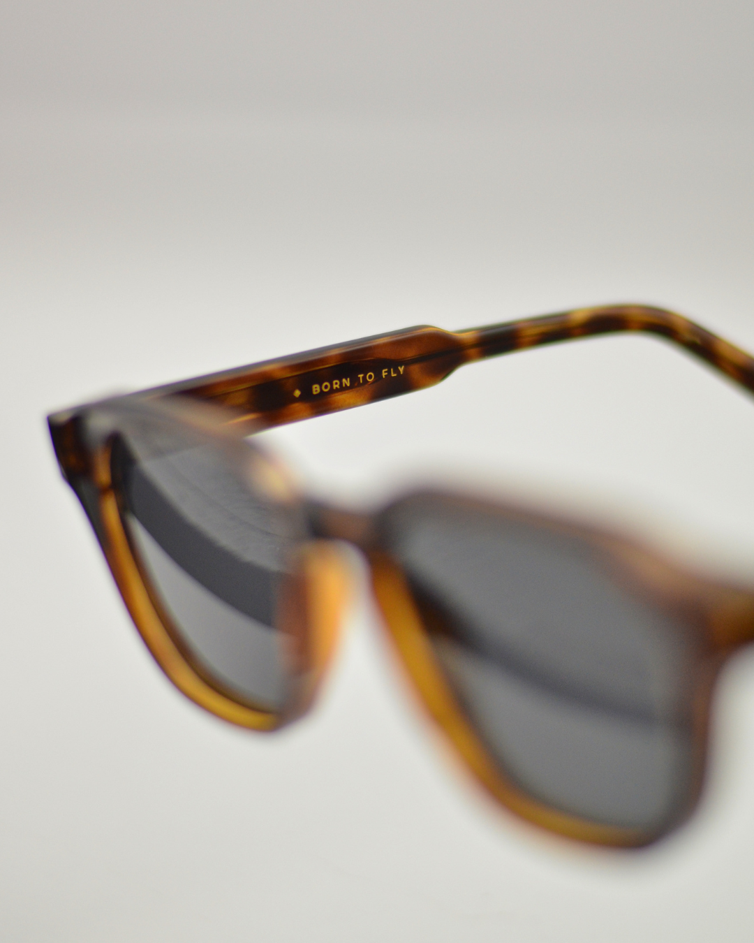 Andorinha | Tortoise