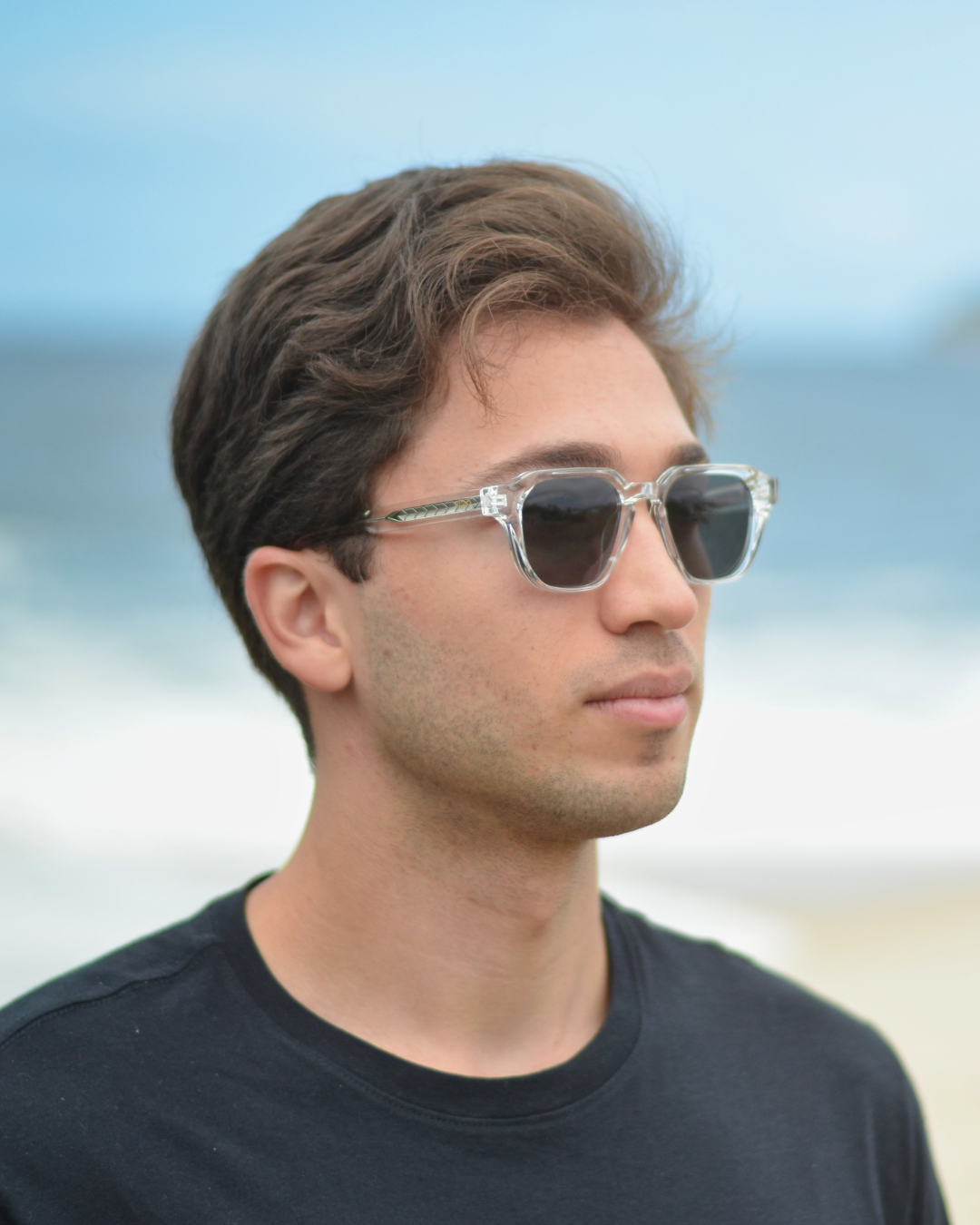 Andorinha | Transparente